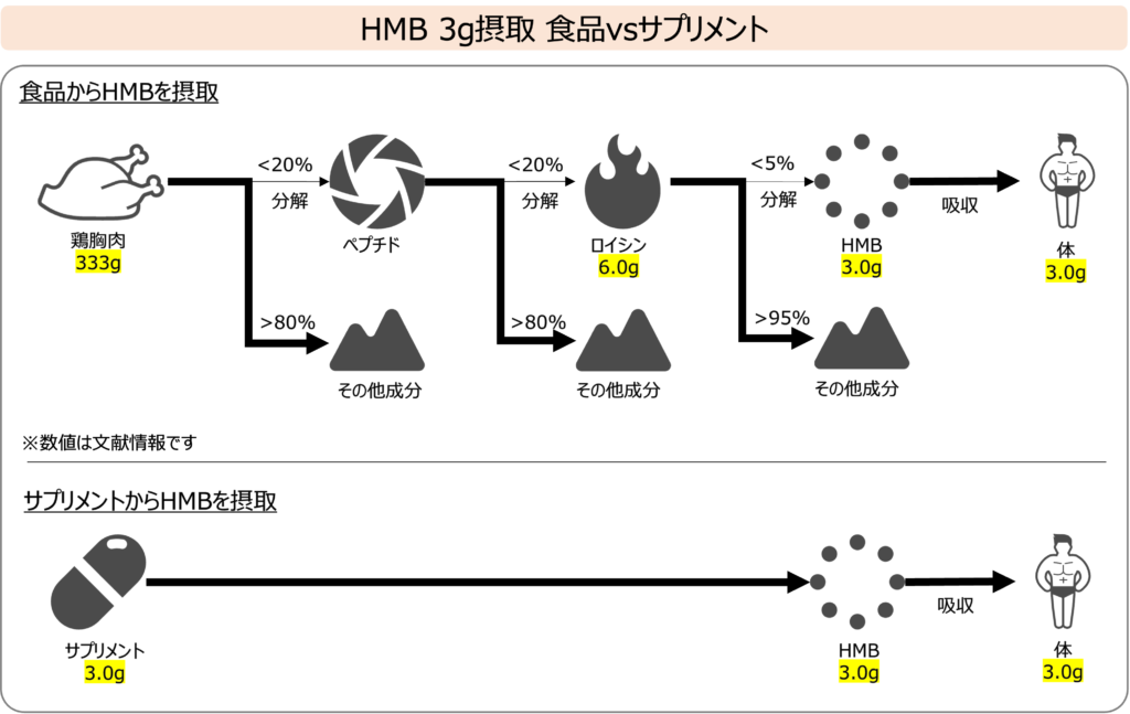 HMB摂取_食品vsサプリメント-2